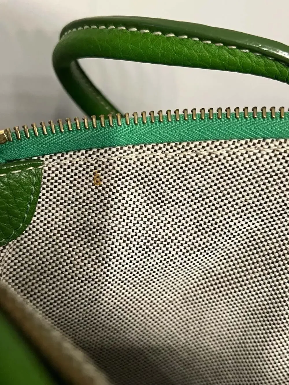 Dooney & Bourke Kelly Green Pebble Leather Crescent Tote with Pouch - Picture 11 of 12